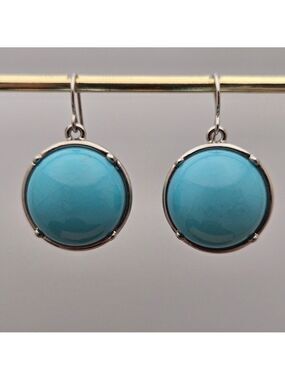 ✨2/$10✨ Silver & Turquoise Round Dangle Earrings Casual Everyday Style